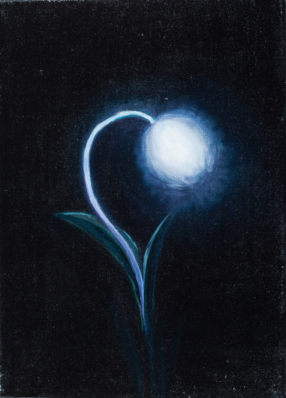 Gemälde von Michael Tauschke Etherisches Glockchenblume Öl auf Leinwand;Öl auf Leinwand,32 x 23 cm,Etherisches, Glockchenblume, Pusteblume, Licht, Leuchten, Lasur; 